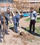 آیین نکوداشت روز درخت‌کاری در بیمارستان ثامن‌الحجج